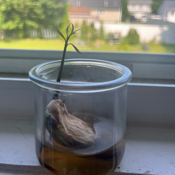 Meet your Posher, Michaela ft. Manny - Picture 6 of 11